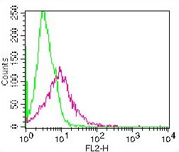 Monoclonal Antibody to CD137 / 4-1BB (Clone: ABM2B2.1A5)